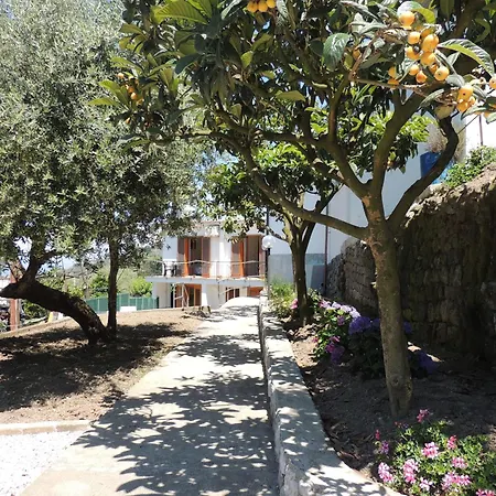 Johanna's House * Massa Lubrense